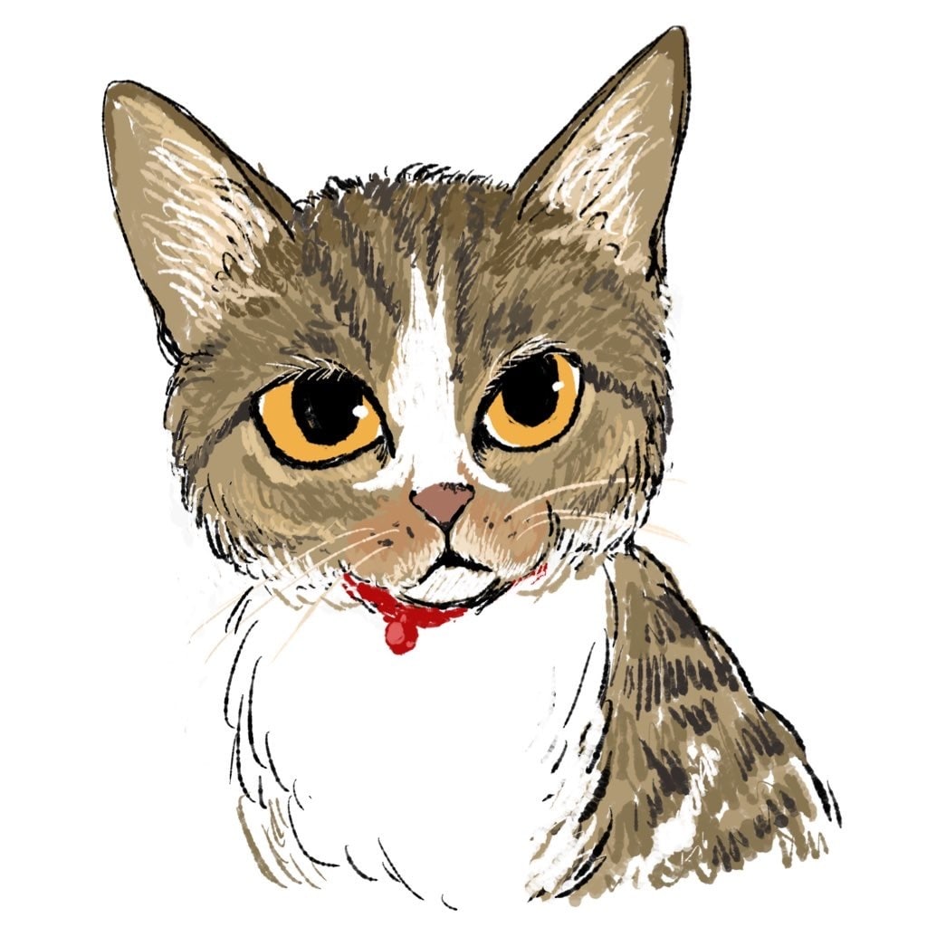 お家の猫ちゃん描きます 猫ちゃんのお写真を元にイラストを描きます イメージ2
