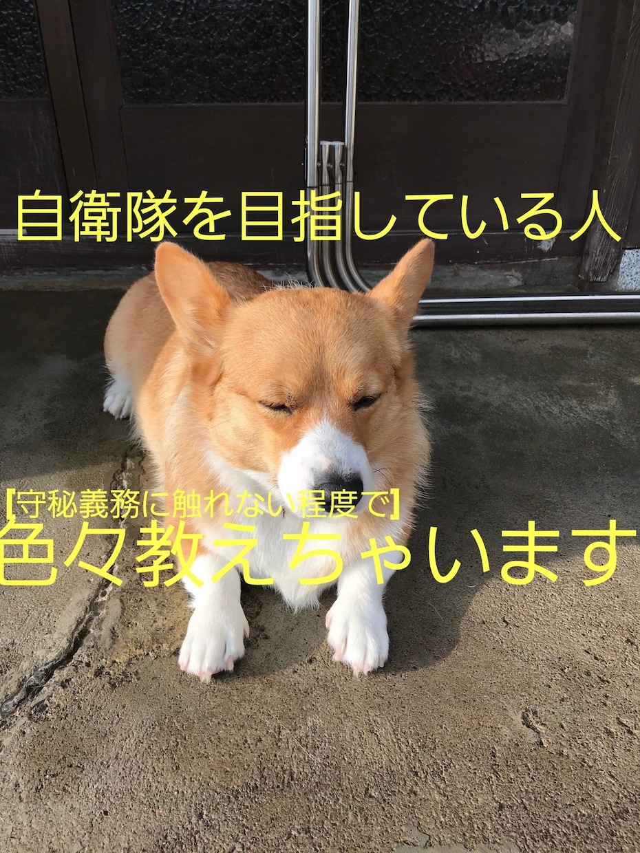 自衛隊を目指している方の疑問に答えます 体力面、学力面様々な不安に寄り添います。 イメージ1