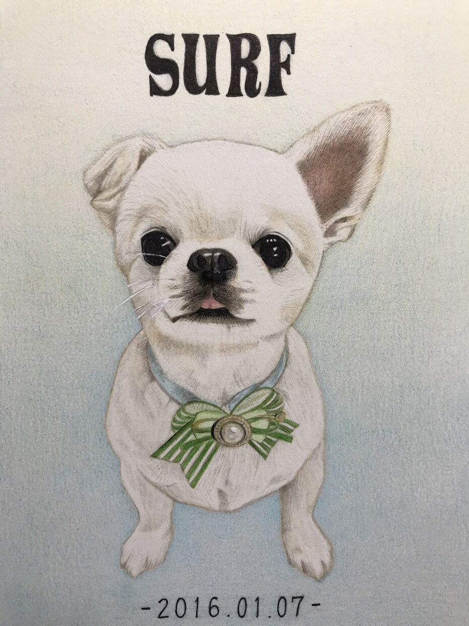 色鉛筆で人物、ペットの似顔絵、肖像画をお描きします 【A4サイズ】心を込めてお描きします！贈り物や記念にどうぞ♪ イメージ3