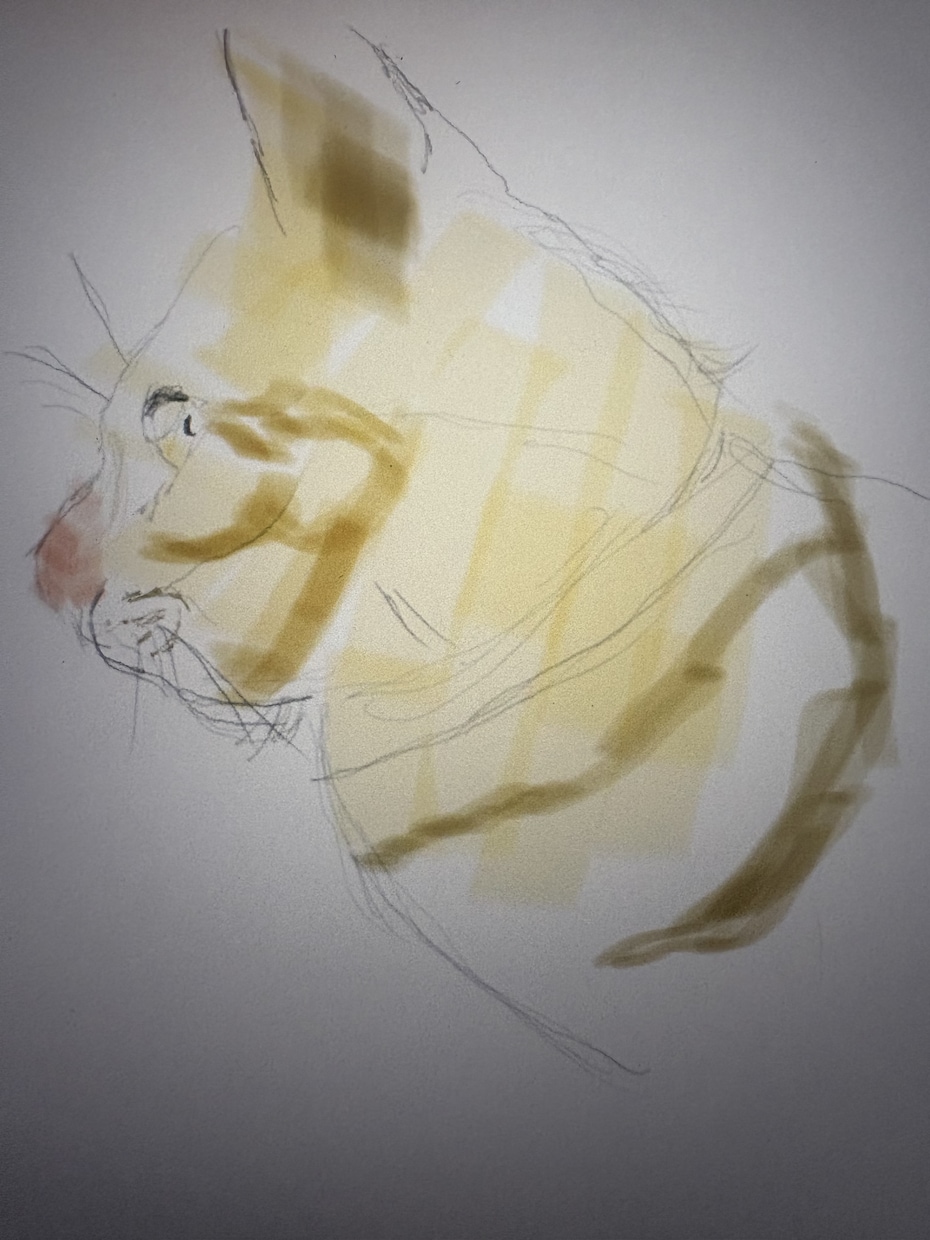 お写真をもとに猫のゆるいイラストを描きます 大切なうちの子を、温かみのある手描きイラストに イメージ3