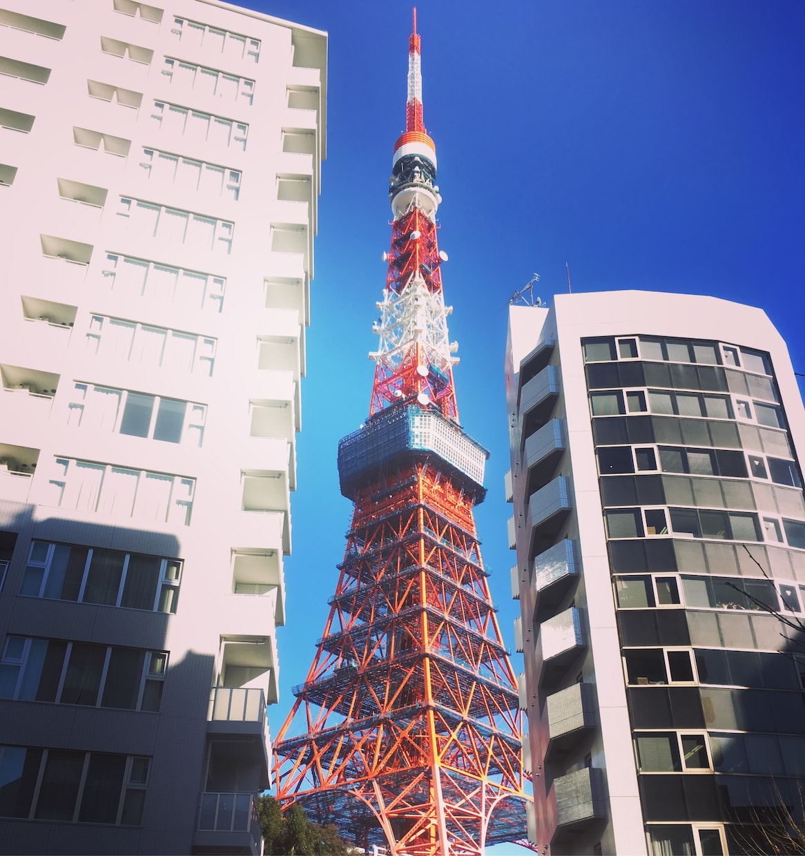 風景の写真を提供します 空・建物・花などなど風景メインで提供します! イメージ1