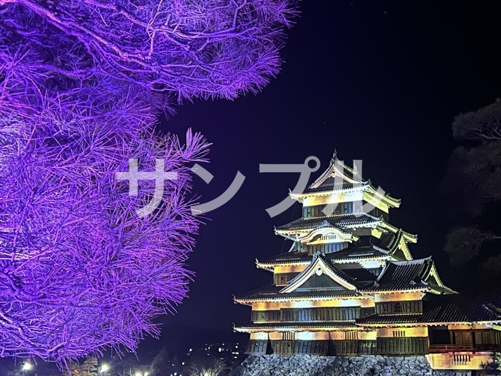漫画、イラストの素材、観賞用としても使えます 綺麗な景色や可愛い動物の写真などをお届けします。 イメージ2