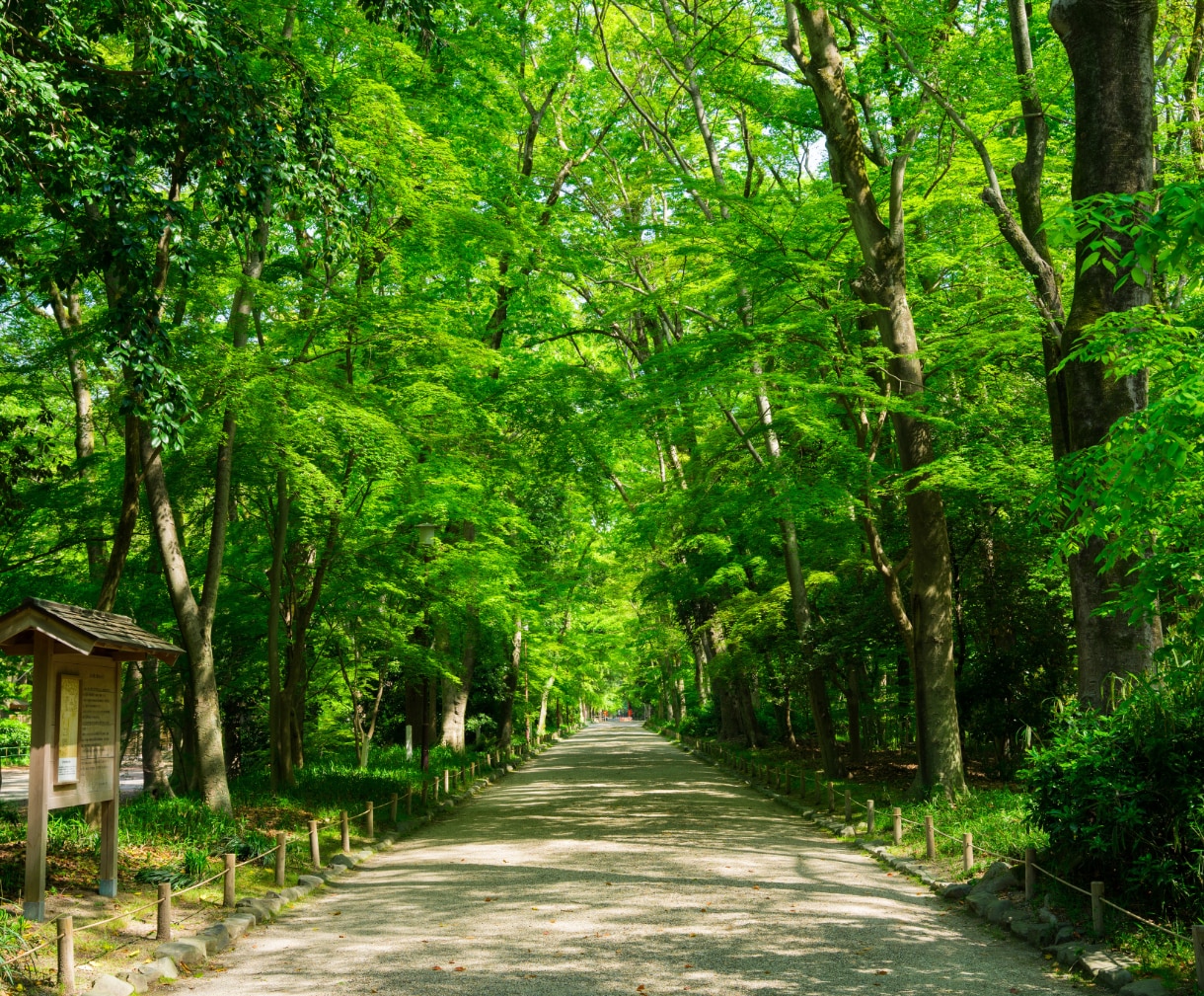 今世の本当の使命を明らかにしてカルマ浄化へ導きます なぜ同じ悩みが起きる？☽魂が歩んだストーリーと今世の真の使命 イメージ7