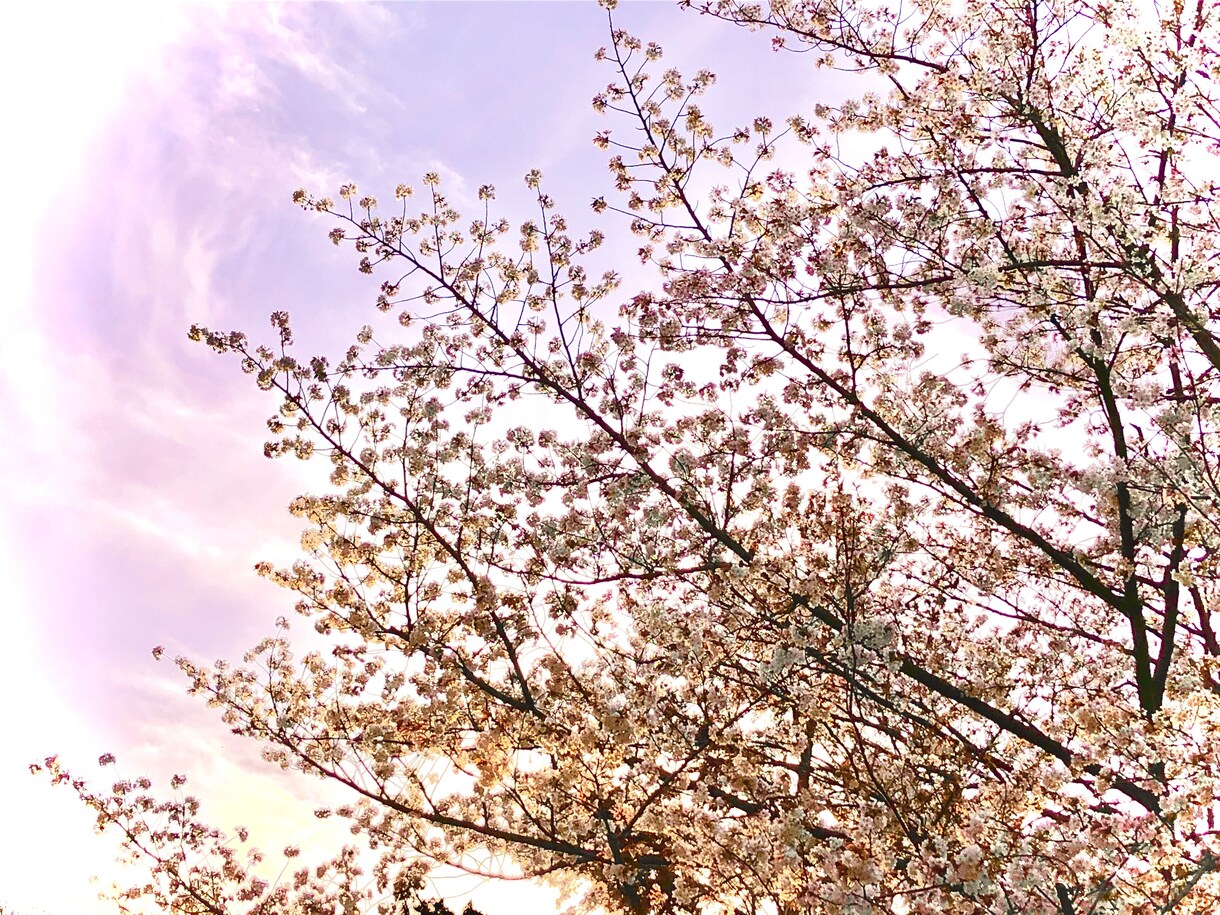 働く貴方の心に共感します 誰かに話を聞いてほしい…。貴方のお話を心からお聴きします。 イメージ5