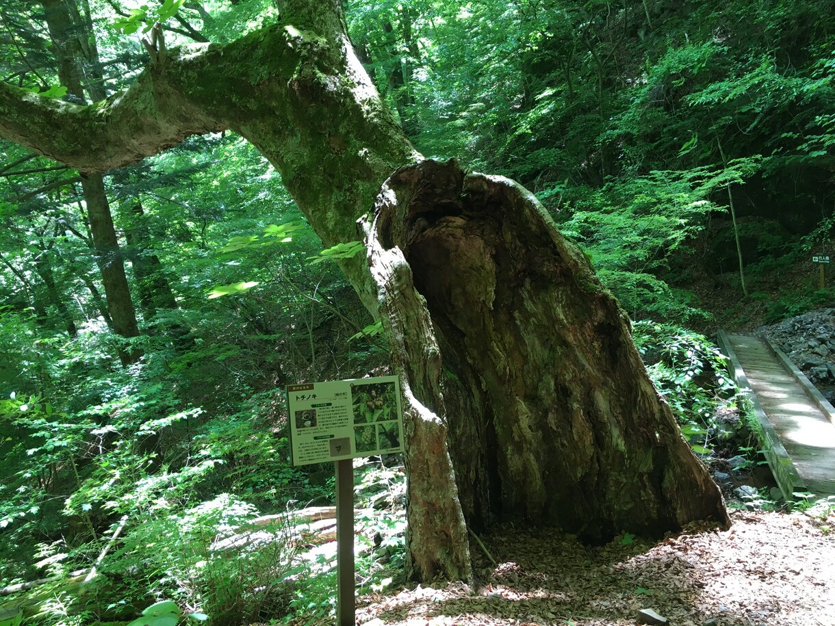 自然風景の写真、動画の素材提供致します 中々行けない山道や岩場、滝等の自然風景の素材を提供致します！ イメージ1