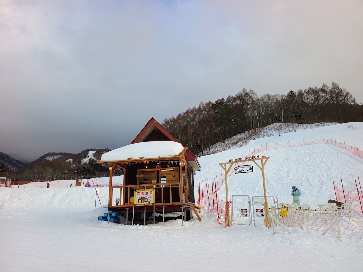 子連れ親子スキーを応援！安心な雪山計画します 子供と一緒に楽しく初めてのスキー/スノーボードを提案します！ イメージ5
