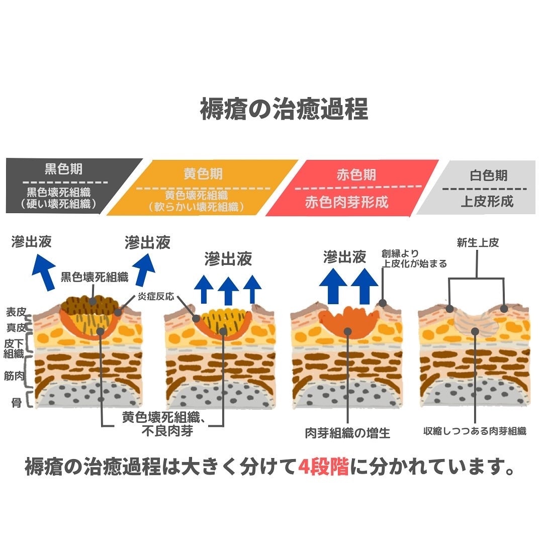 勉強会で使える医療イラスト作成しますます 勉強会資料・スライドにそのまま使える｜背景透過PNG納品 イメージ1
