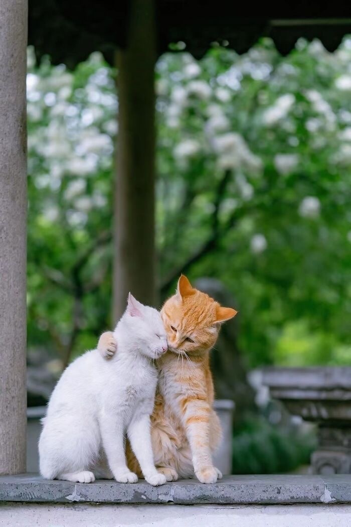 貴女の望む未来は、2人の未来にリンクできます 気持ちを届けて繋げるサポーター♡浄化のポイント教えます イメージ6