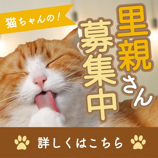 目にとまる！優しいバナー・ヘッダー画像を作成します イラスト付きのバナーも制作可能！柔らかいデザインを提供します イメージ1