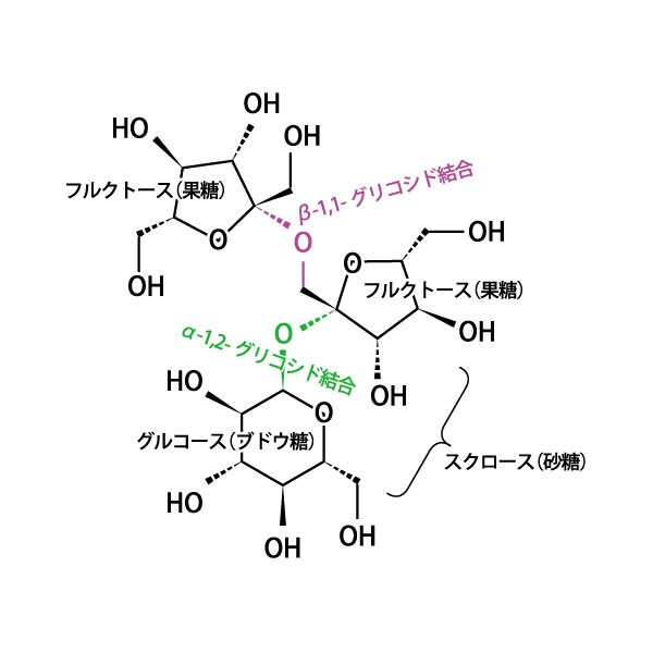 医療関係の図版・figを作成いたします 発表スライドにオリジナルの図版・figで完成度を高めます イメージ5