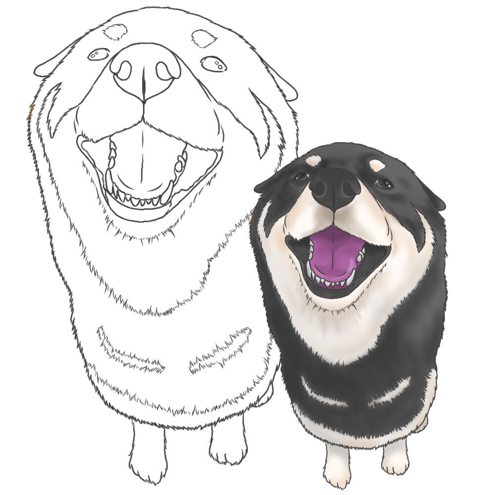 うちの子塗り絵お描きします ペットなどのお好きな動物を自分色で彩ってみませんか イメージ3