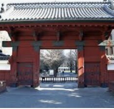 小さい子供〜受験生を持つ親子にお手伝いします 悩むなら、話して！   きっと解決するよ( ◠‿◠ ) イメージ1