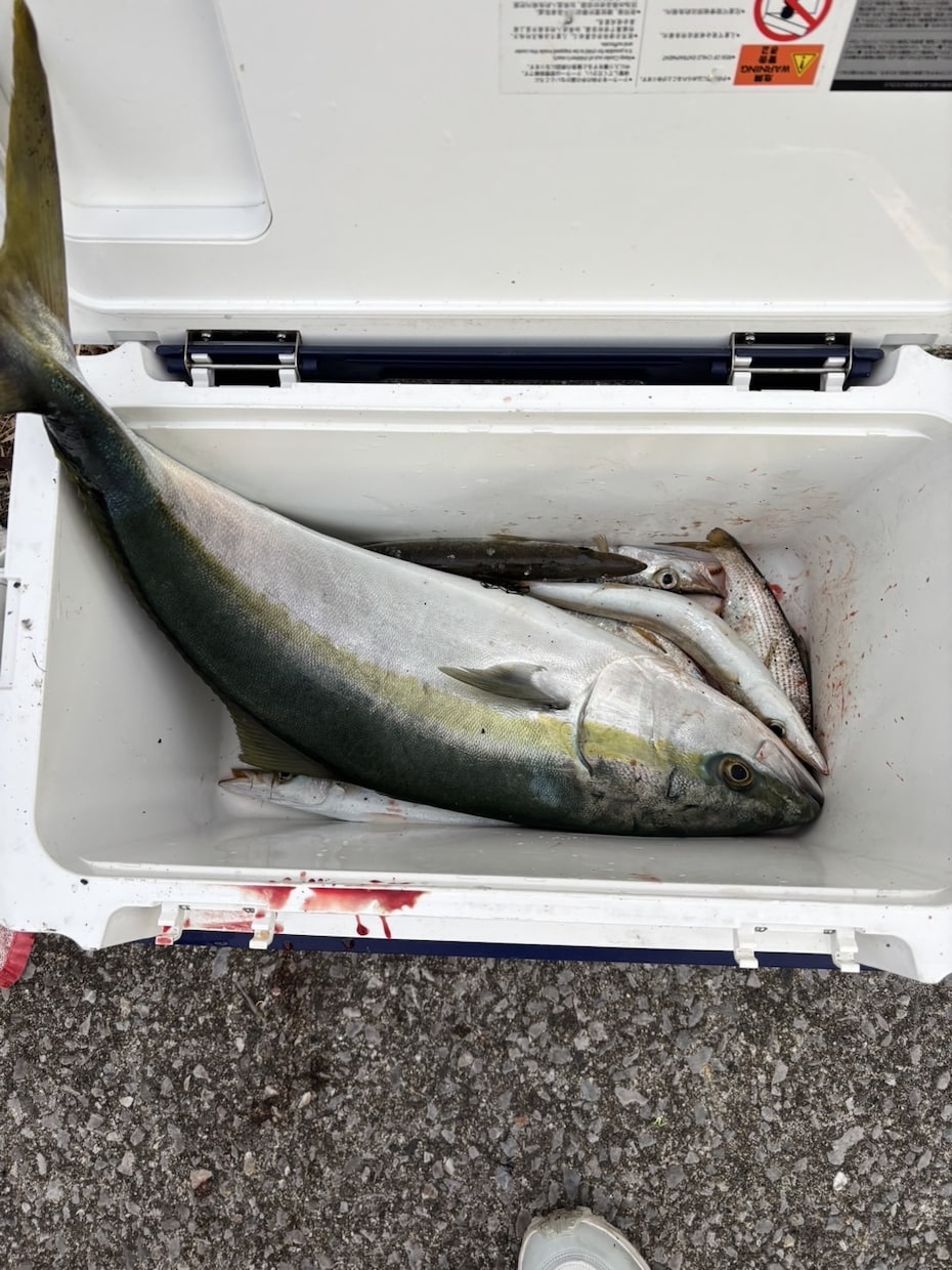 釣り初心者の方にアドバイス致します 釣り初心者方に分かりやすくアドバイスいたします！ イメージ2