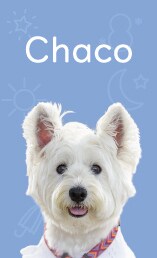 ペット名刺（PET NAME CARD）制作します セミオーダータイプ・50枚単位で注文可能！ イメージ2