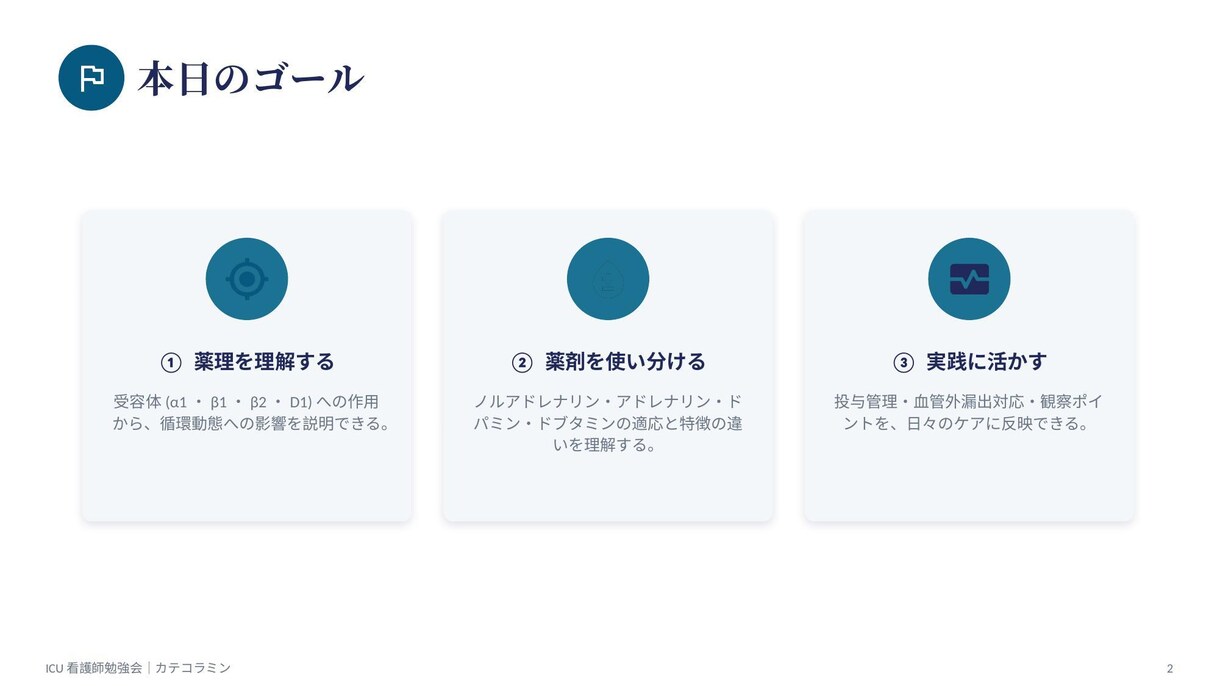 ICU・PICU看護師が勉強会スライド作成します 成人からこどもまで。現場を知る看護師が作ります イメージ2