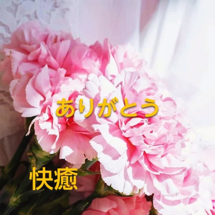 自宅療養　入院闘病生活♡(内緒　心の声)を聴きます 入院経験者とお話し♡不安　孤独　病気　怪我痛み　医療介護保険 イメージ3