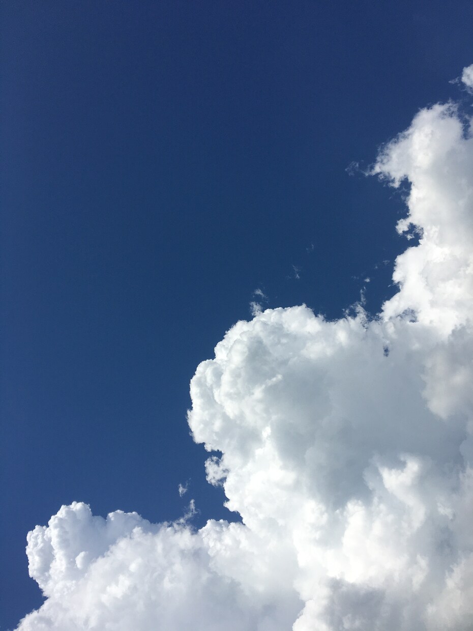 1時間チャット♡ワンコイン♡お話しします 周りを気にせずチャットでおしゃべり⭐︎悩み・雑談・ひまつぶし イメージ3