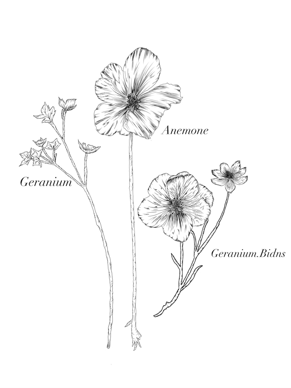 花をテーマにした繊細な絵を作ります 日常にそっと彩りを添える、花のアート イメージ1