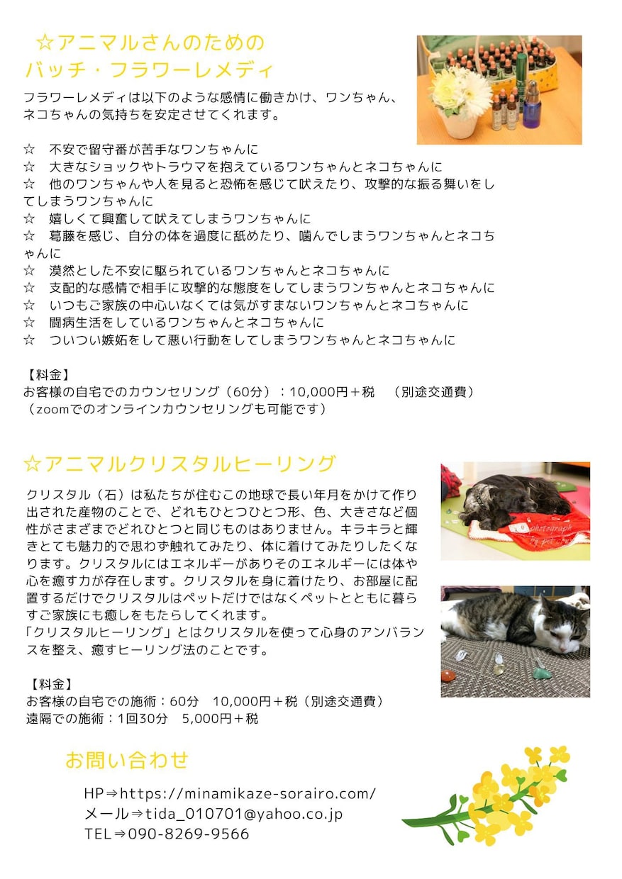 伝わるチラシ、作成します チラシ作成・ロゴ・バナー作成します。 イメージ2