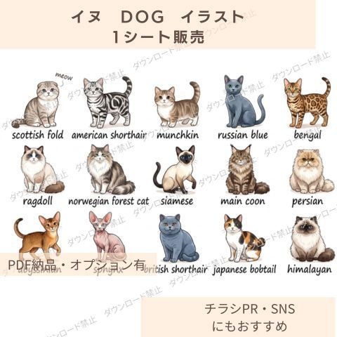 猫のイラスト1シート販売します チラシ・PR・SNS・ショップ・カード素材におすすめ イメージ1