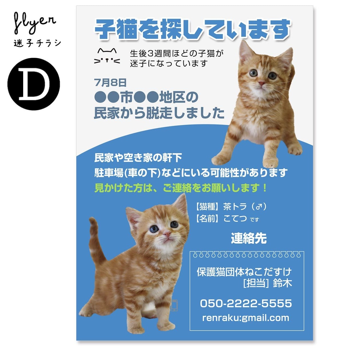迷子チラシ（猫･犬･鳥など）をお作りします 最愛のお子さんを目立つようにデザインします イメージ7