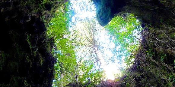彼は私の事どう思ってる？彼の気持ちを伝えます ライトワーカー歴１５年、あなたに寄り添い、伺い視て伝えます。 イメージ4