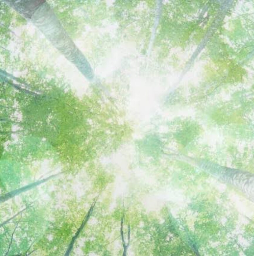 そっとあなたの心に寄り添います あなたとこころの中を笑顔にするよ(⁠ ⁠◜⁠‿⁠◝⁠ ⁠)⁠ イメージ3
