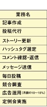各種SNS運用代行致します SNS運用で集客，PRに！面倒な作業全てお任せ下さい！ イメージ3
