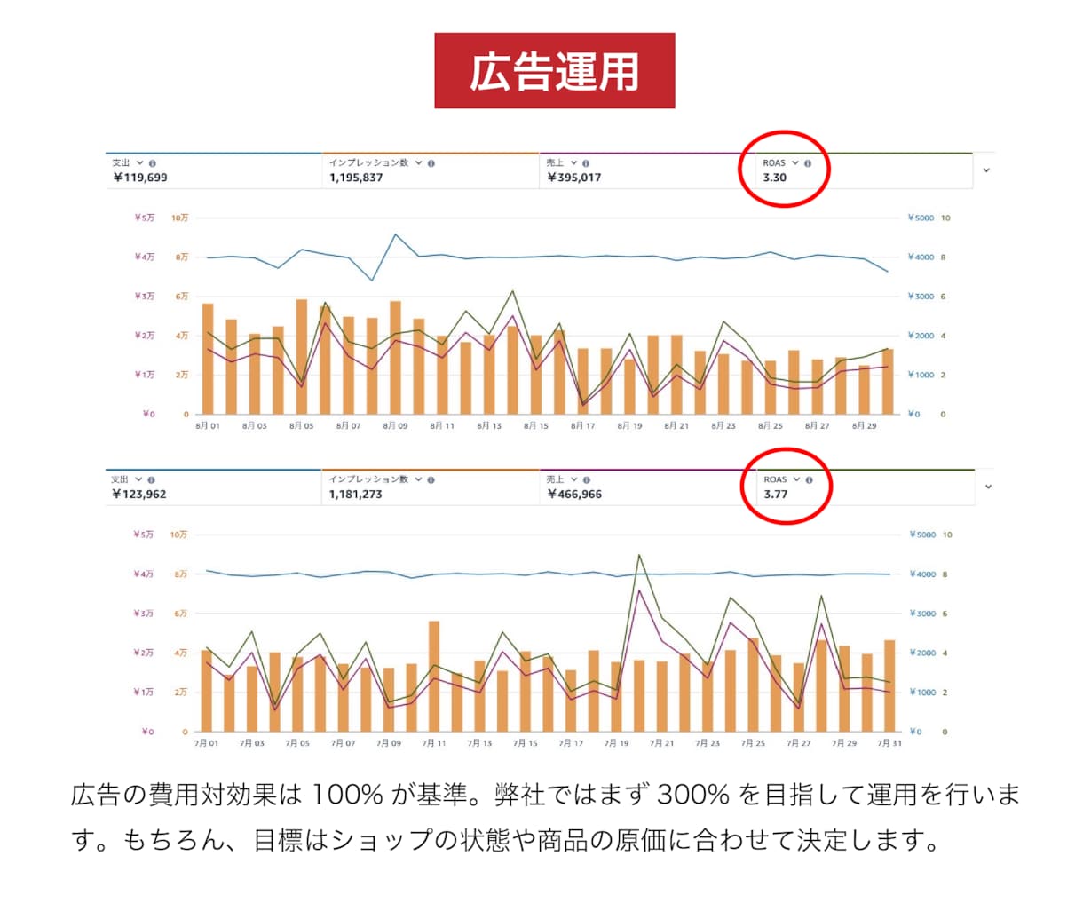 ECのプロがアマゾン/楽天を“戦略的に”運営します PDCAで結果が出る！分析・実務・画像制作がフルセット◎ イメージ7