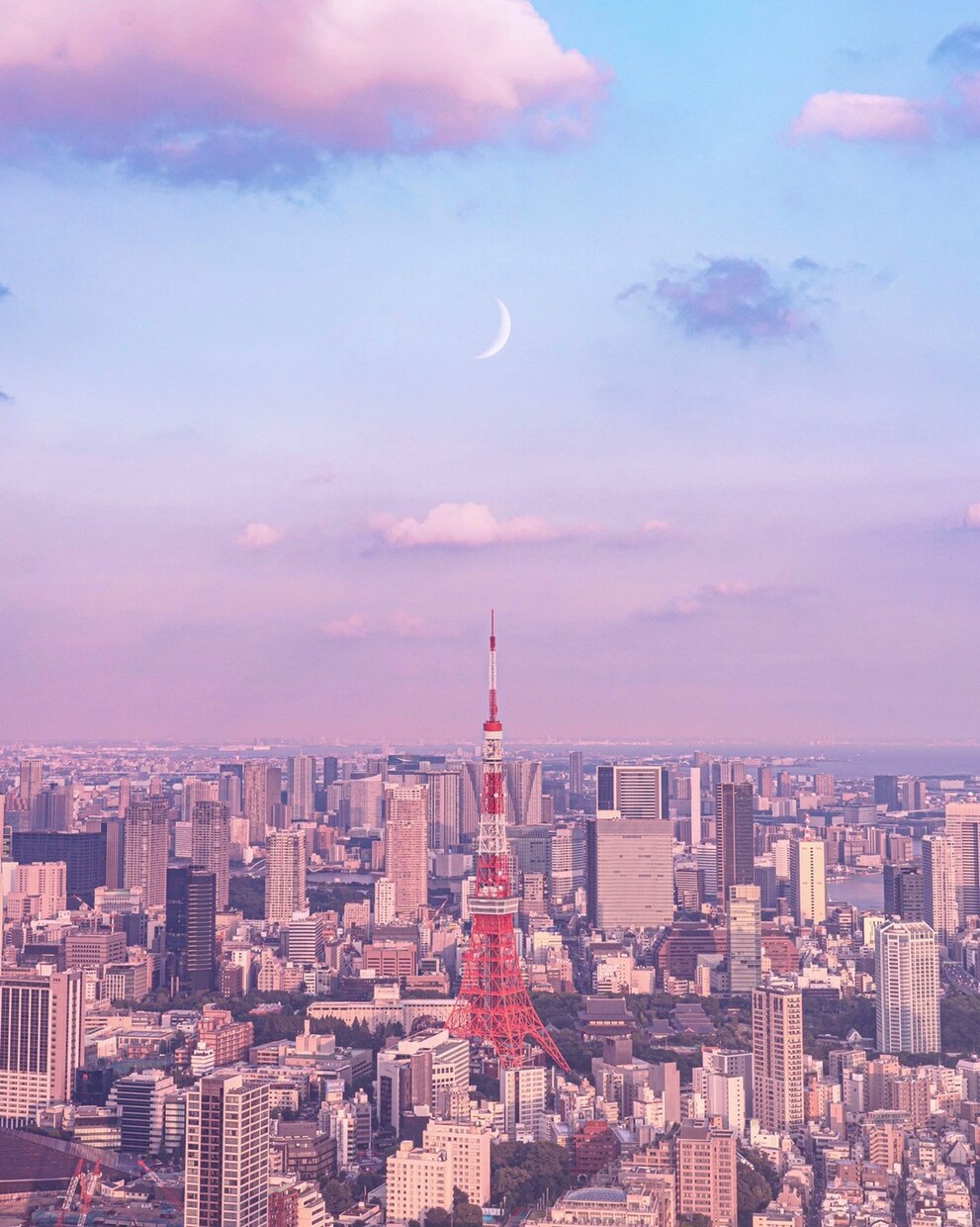 あなたの心の重しになっているもの、とりのぞきます 人間の悩みはどこからくるの？少しのヒントで気持ちが楽になる。 イメージ5