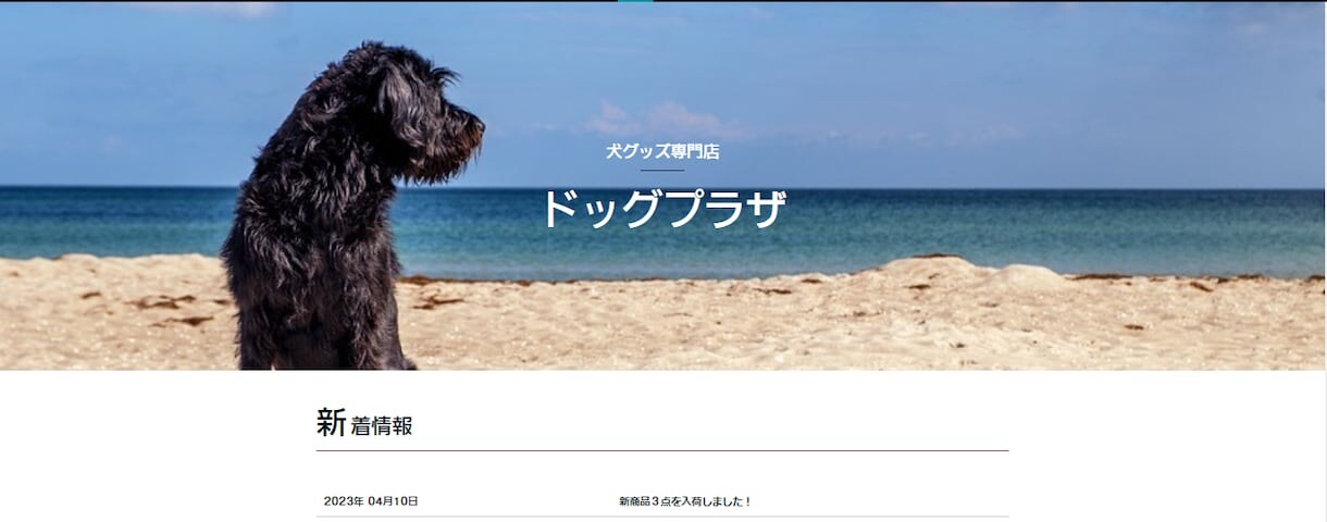 Wixでホームページを丁寧に制作します HP知識が無くても大丈夫！理想のHPを丁寧に制作致します！ イメージ8