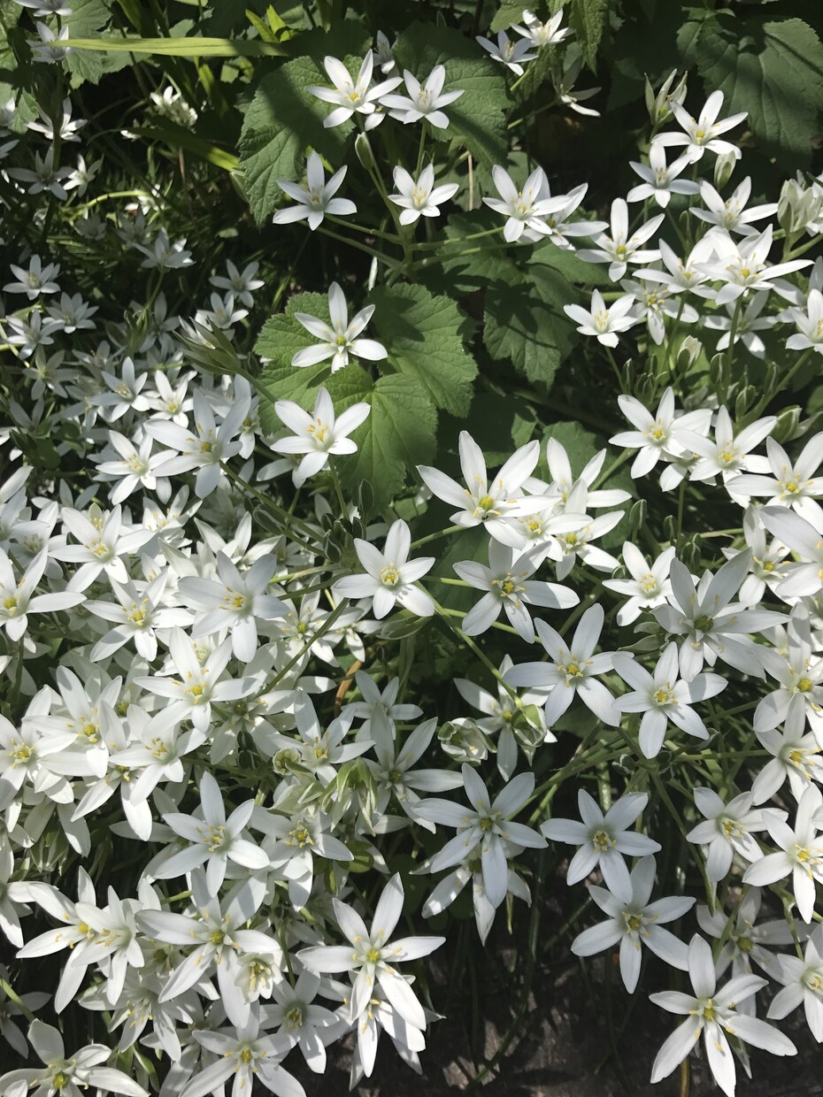 心がホッとひと休み。 お手伝い致します どんなことも心からご一緒します、且つ多角的に解決策も共に イメージ2