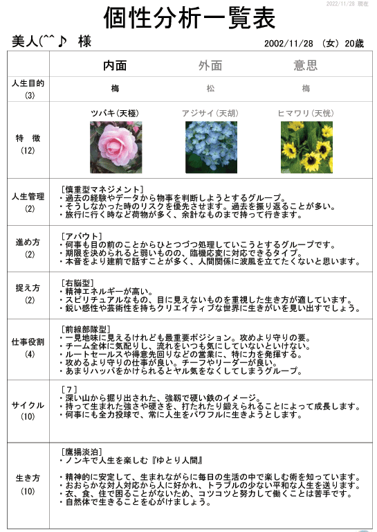 自己統合への道を照らします 年間の運氣、日々の運氣、恋愛、相性、性格、個性診断賜ります イメージ4