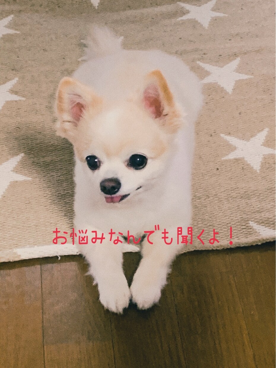 ちょっと聞いて！っ事何でも聞きます 今日の出来事など気楽な気持ちでお話しょ♪ イメージ1