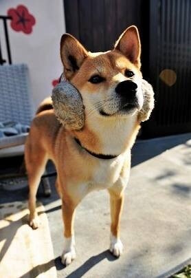 コミュニケーションの悩みにアドバイスします 今日のモヤモヤは今日のうちに！【女性限定】 イメージ1