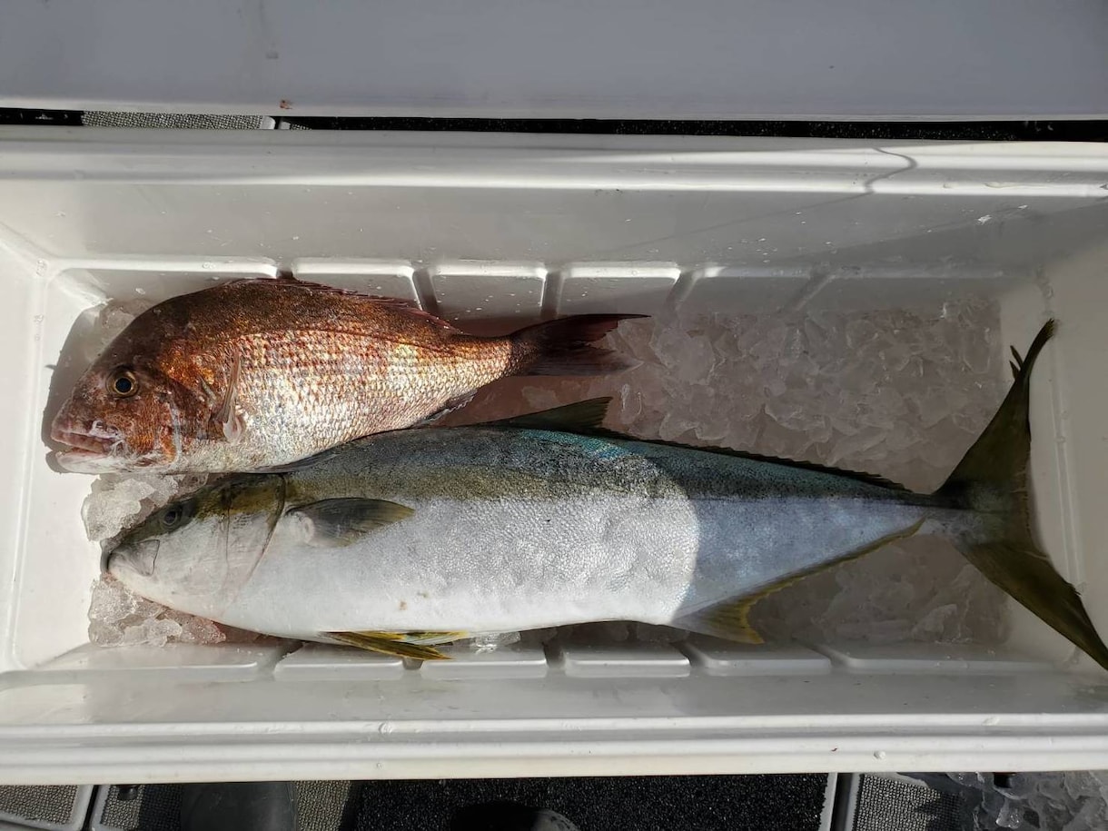 釣り初心者の方へ 希望に合わせてアドバイスします 釣歴30年の私が道具、エサ、釣り方、場所などアドバイスします イメージ3