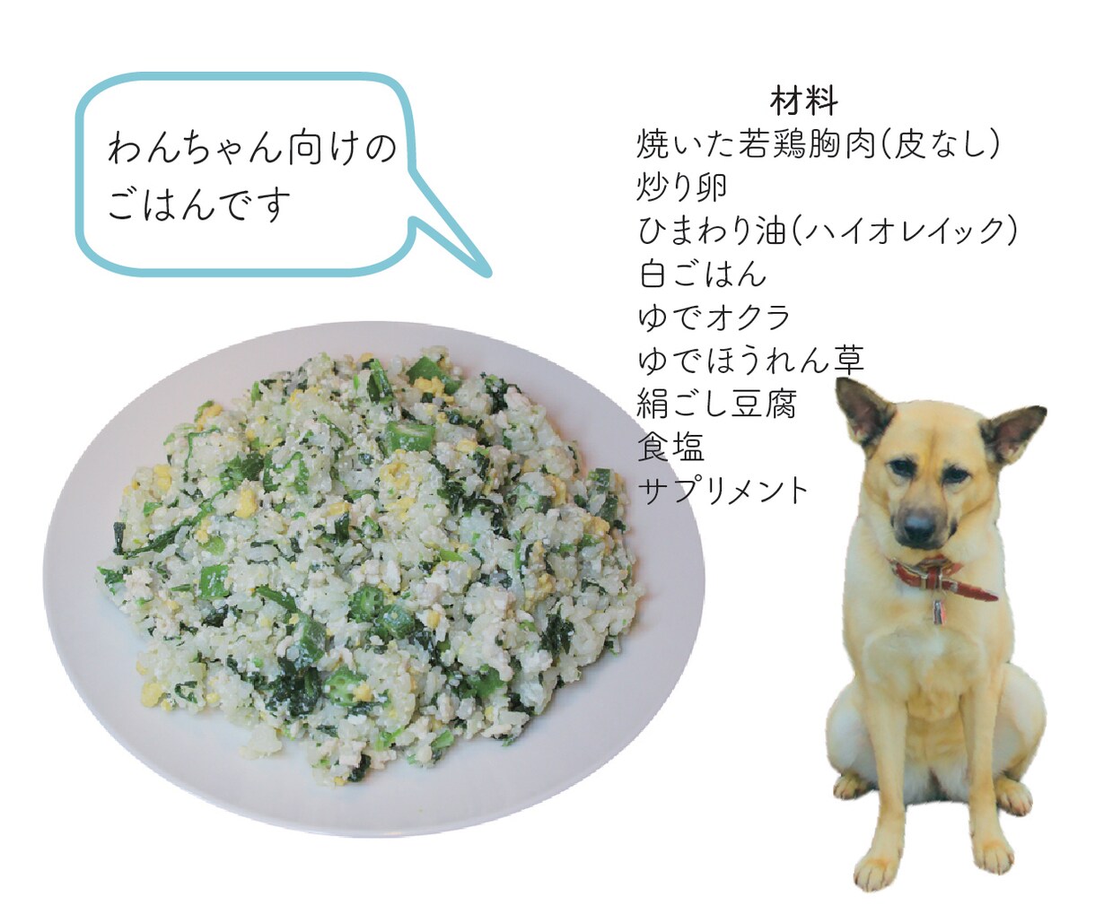 慢性腎臓病の犬・猫の手作りレシピ作ります 慢性腎臓病のための栄養基準に合わせた手作りごはんを作れます イメージ4