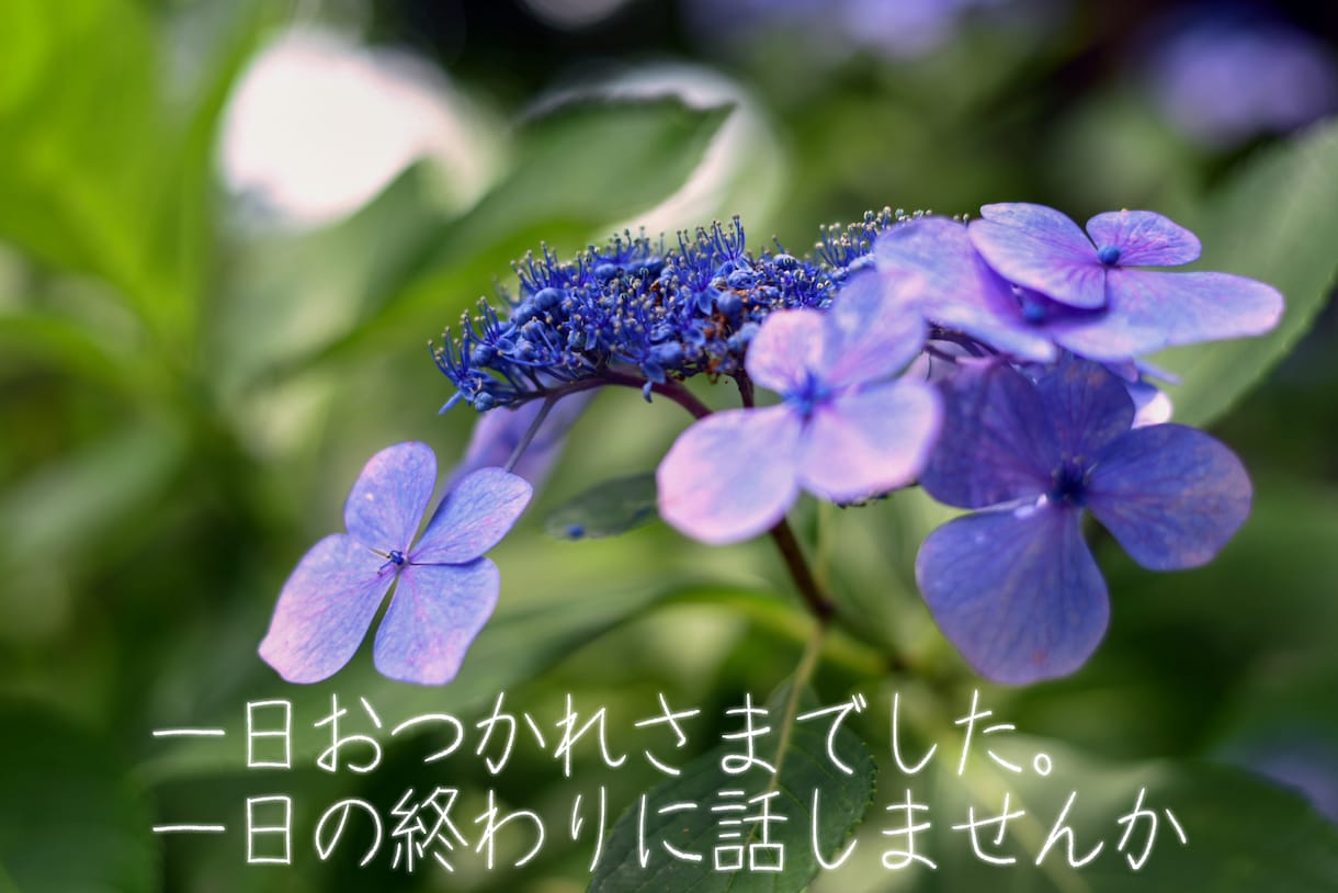 話を聴いてほしい!どんなお話も全力でお聴きします 現役生活相談員。国家資格複数保持。安心してお話ください。 イメージ10