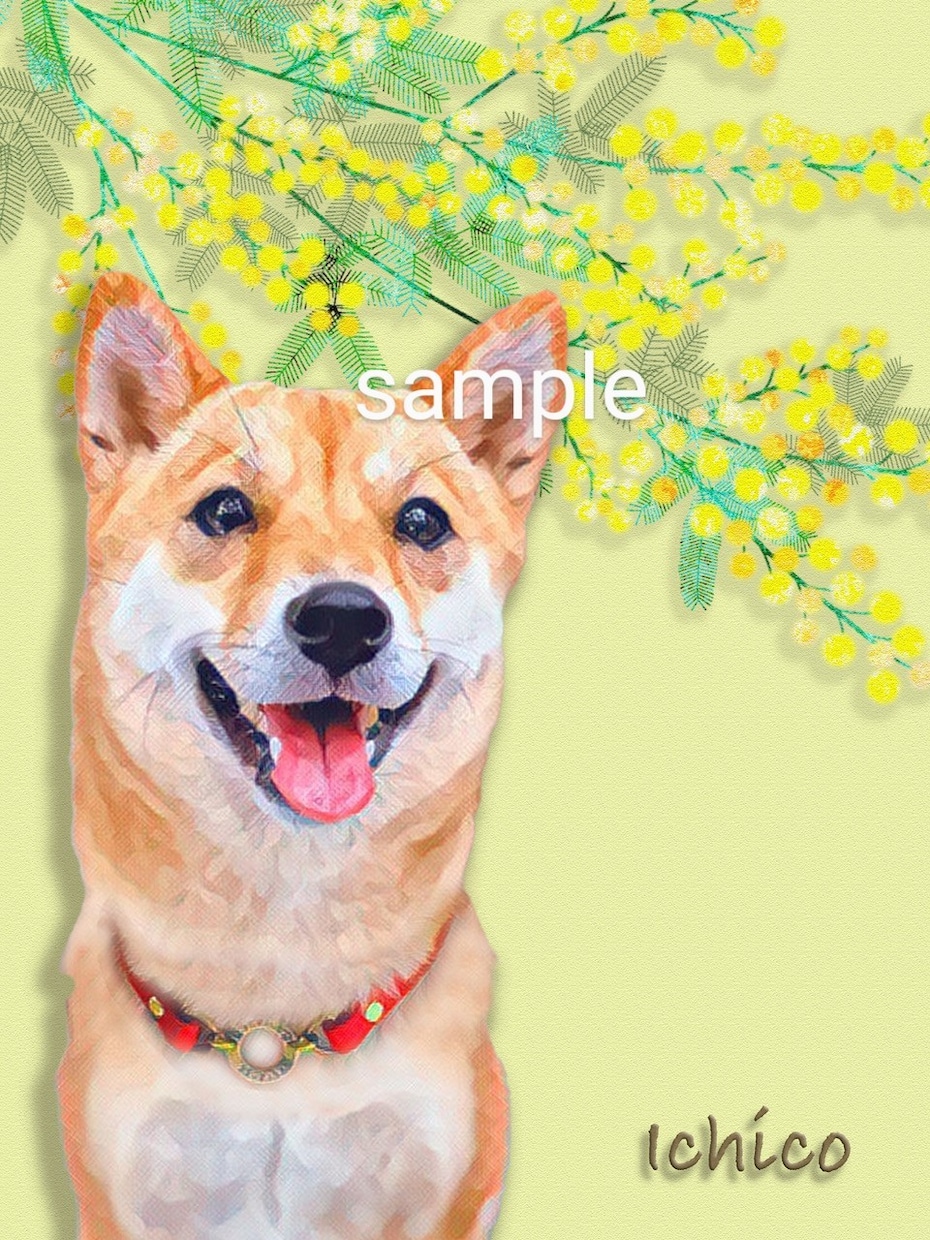 ペットの写真を似顔絵にします A4印刷込み☆写真からイラスト作品にして郵送します♫ イメージ3