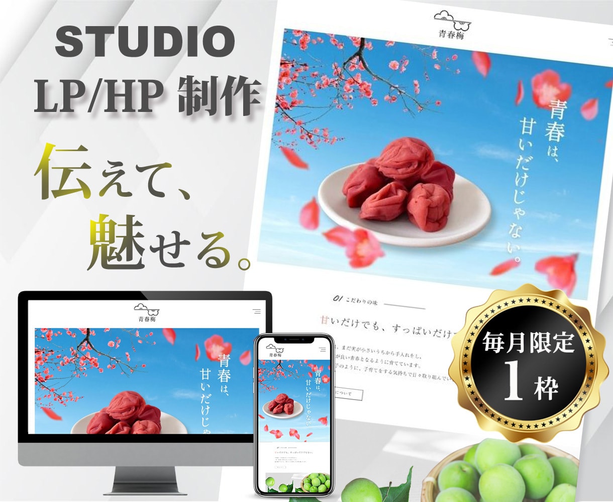 マーケとマイクロコピーで行動させるLPを制作します 毎月1枠のみ！FV制作無料プレゼントでお得なプラン！ イメージ1