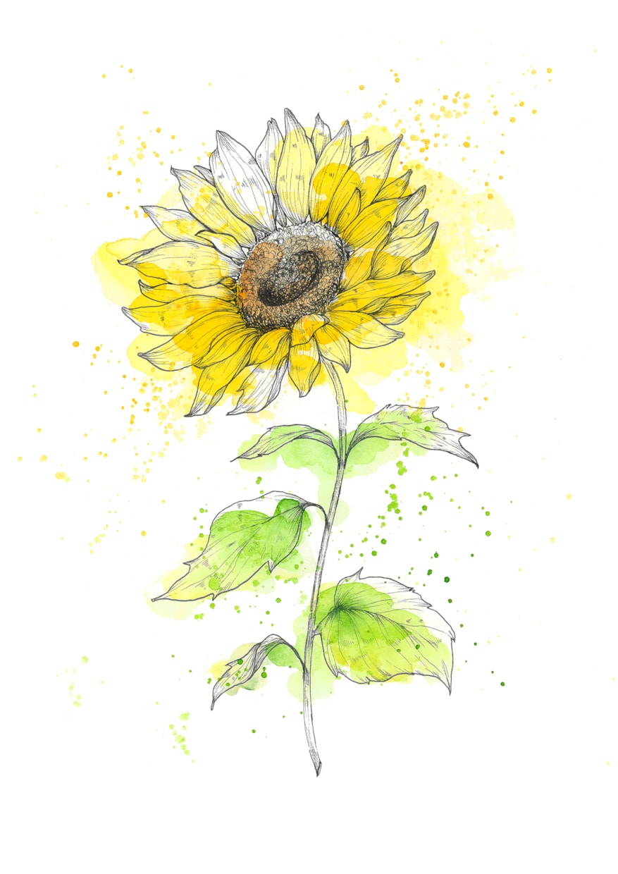 誕生花やお好きなお花の絵を描きます あなたに、大切な誰かに、世界に一枚だけの特別なお花を。 イメージ4