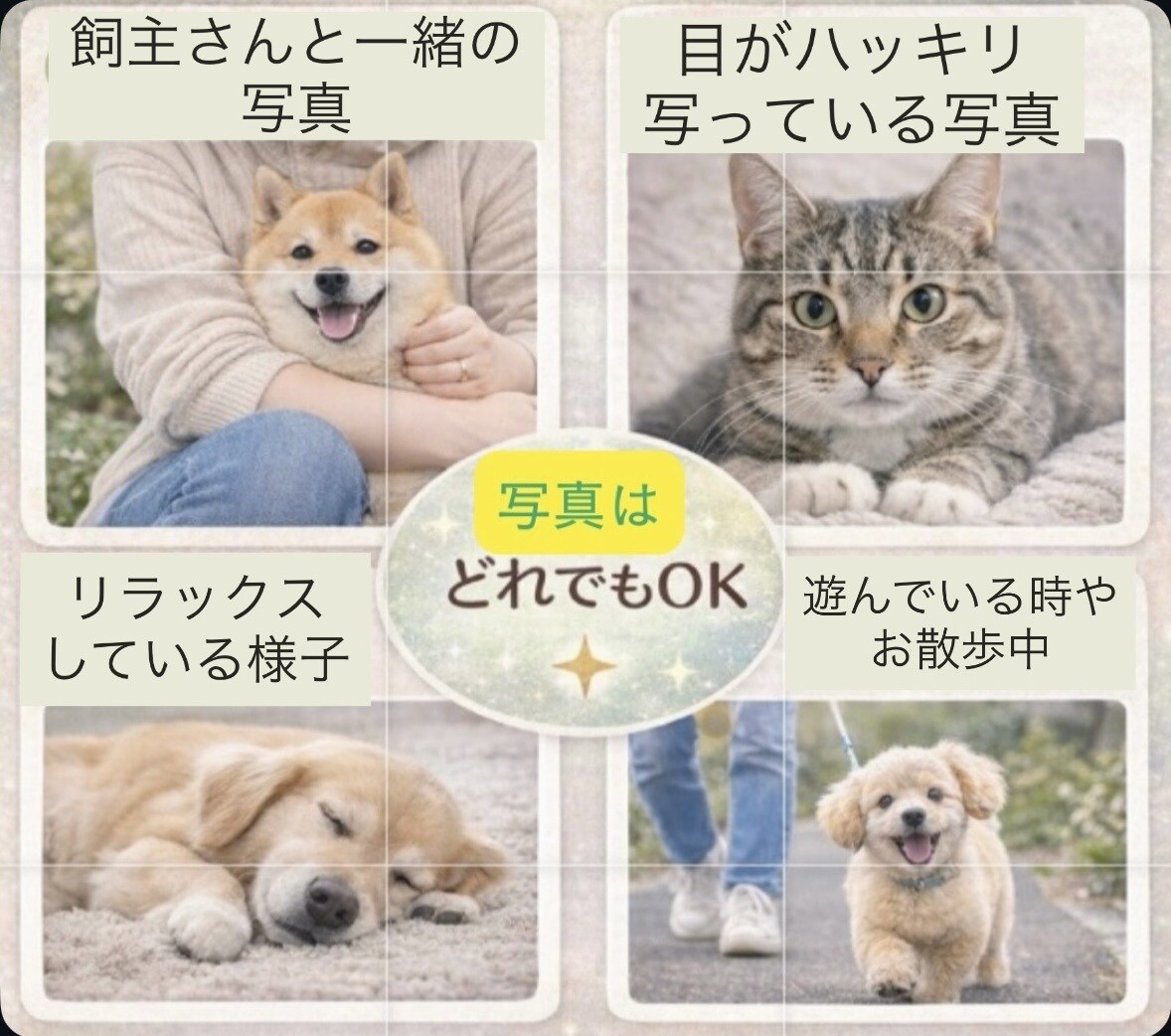 天国のあの子の想いを届けます 今あなたに伝えたい、本当の気持ち イメージ2
