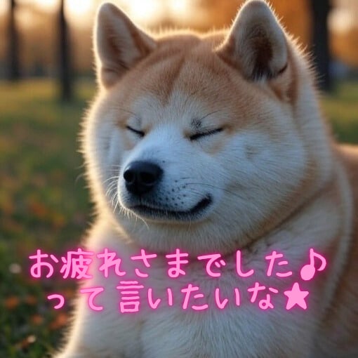 としこの部屋⭐秋田犬があなたのペットになります ⭐看板犬が、雑談・愚痴・恋愛…ご希望のお話をお聴きします⭐ イメージ10