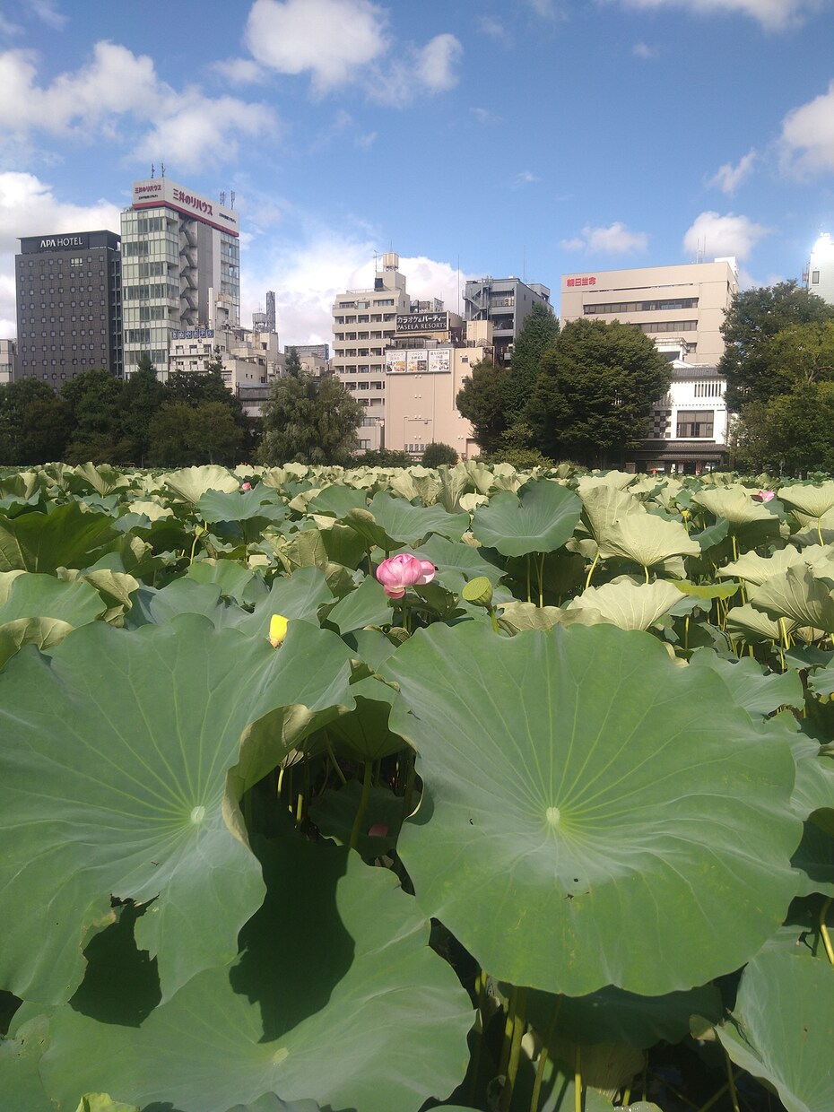 写真撮るのが好きです。よろしくお願いします 写真撮るの好きです。よろしくお願いします。 イメージ3