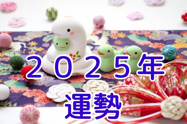 1月特別価格！！2025年の運勢をお伝えします アドバイス付き！数秘・霊感タロットで見るあなたの2025年！ イメージ1
