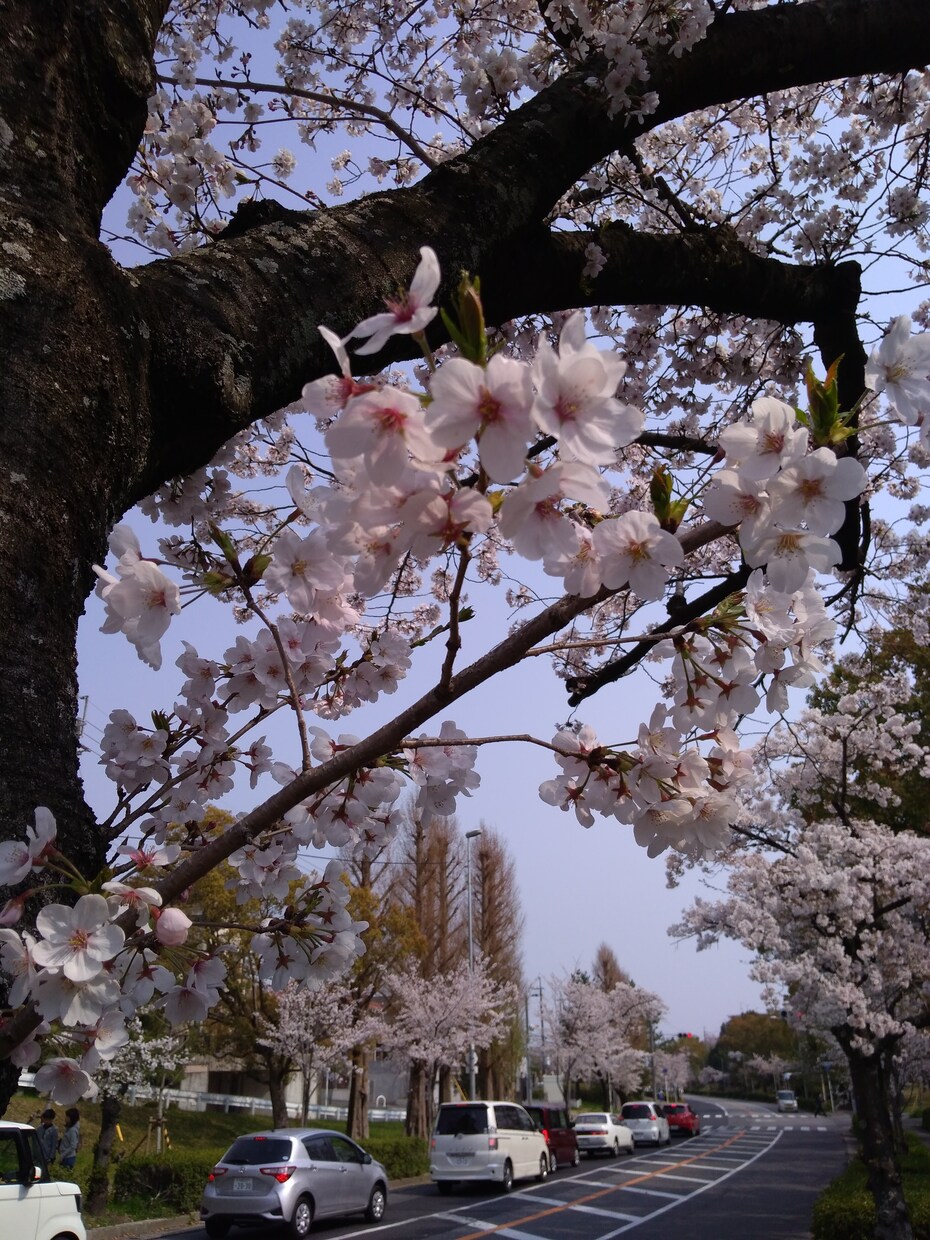 とにかくお話したい方、お相手になります たわいのないおしゃべりから、日々感じる不安など、思うがままに イメージ4