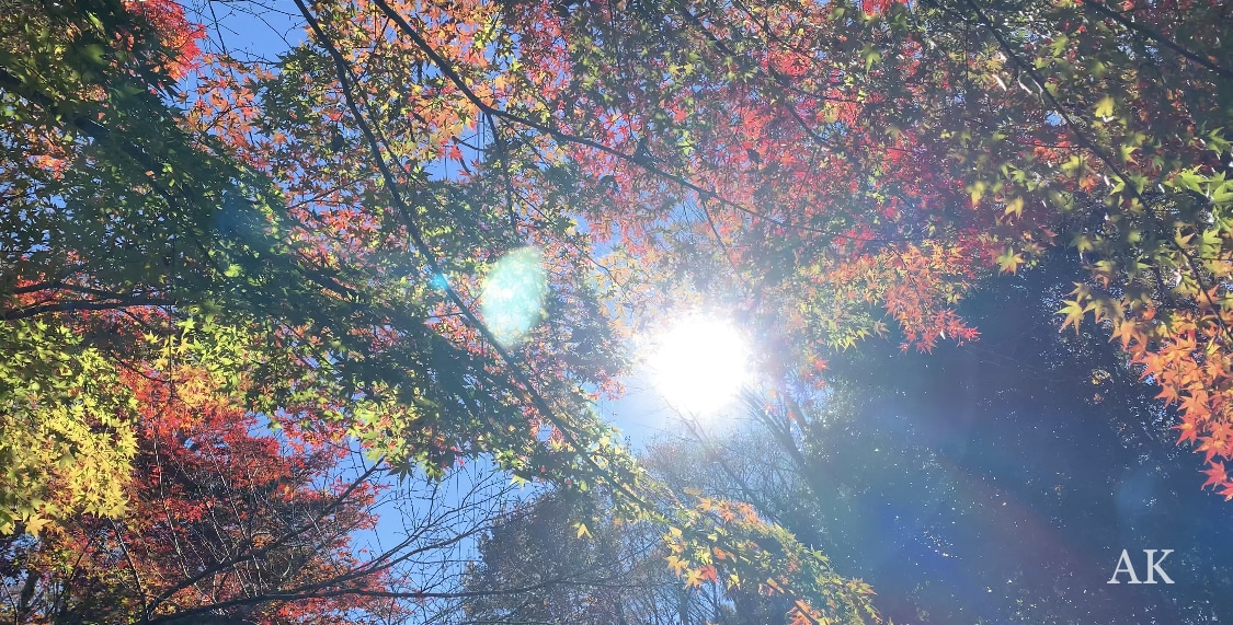 話したかったスピリチュアルなお話聴きます あなたの体験、日々のことお聴かせくださいませ＾＾ イメージ1