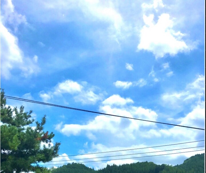 30分チャット龍霊視★時間内無制限★お悩み聞きます チャットで気軽に龍神さまに願掛け祈願。悩み事解決しませんか イメージ6