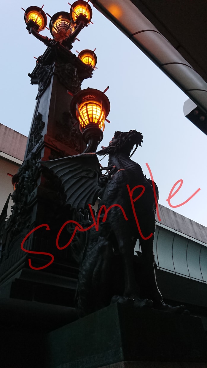 都内、関東近郊スマホで写真代行します スマホのみで撮影！ミニチュアや白黒写真あります！ イメージ4