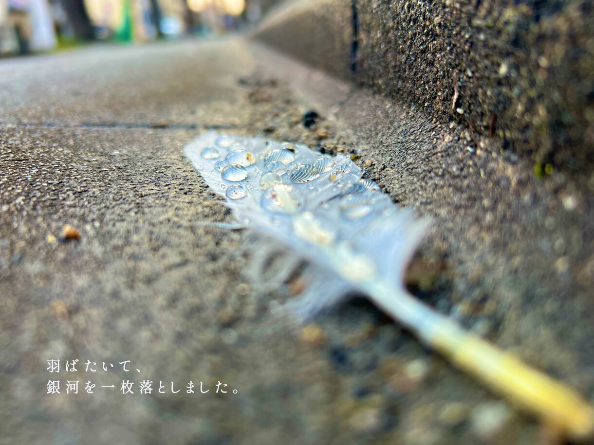 出版経験ありの現役詩人があなたの写真に詩を書きます あなたの写真の魅力を現役の詩人が詩で引き出します イメージ3